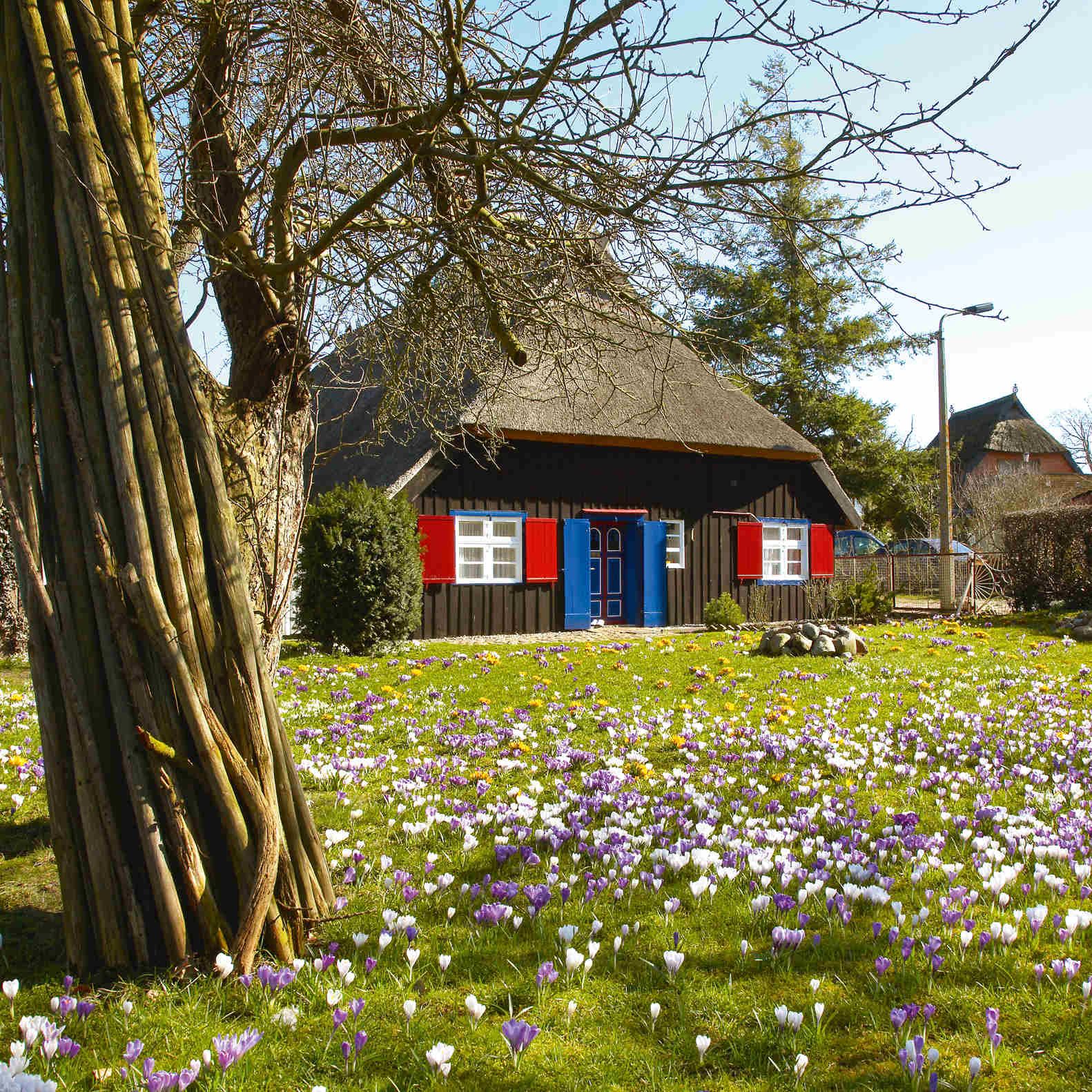 Test Artikel x